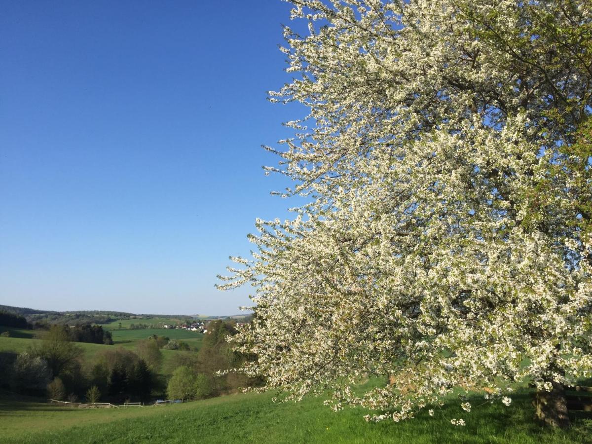 洛茨乡村酒店 Reichelsheim 外观 照片