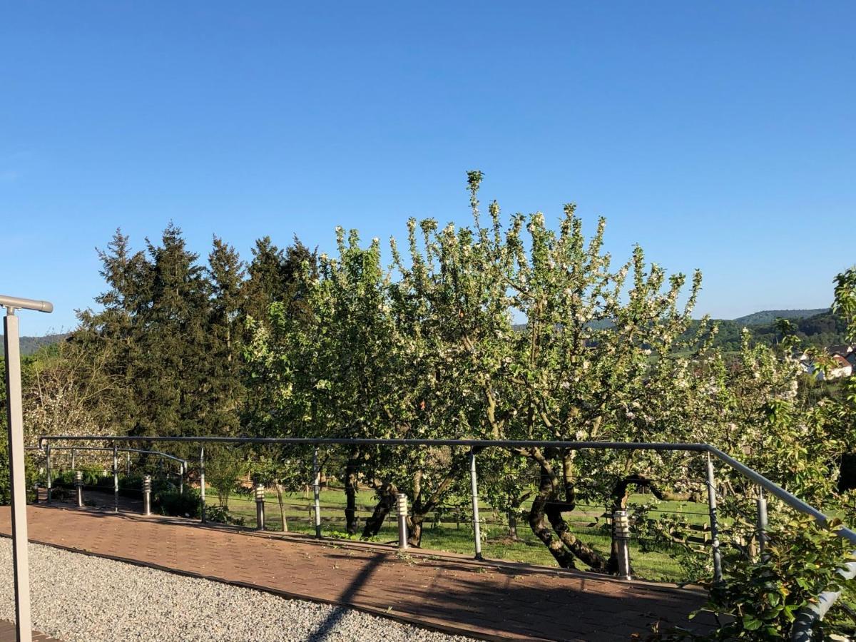 洛茨乡村酒店 Reichelsheim 外观 照片